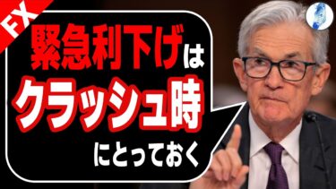 【ドル基軸通貨の危機、何故FRBは利下げをしないのか】【米国金利 原油価格 ドル円】パウエルFRB議長”緊急利下げはクラッシュ時にとっておく”｜最新相場分析