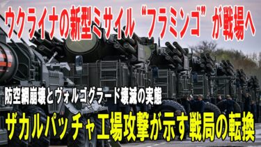 【戦争の裏側】ウクライナの“フラミンゴ”が初実戦！ロシア防空網崩壊・ヴォルゴグラード壊滅・ザカルパッチャ工場攻撃の衝撃
