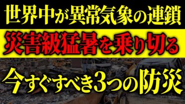 【衝撃の真実】日本はもう亜熱帯! 「地球沸騰化」であなたの生活はどう変わる？ 🚨#防災 #防災グッズ #震災 #南海トラフ地震