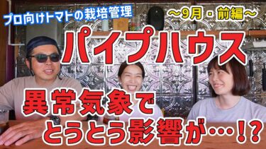 190 パイプハウス異常気象でとうとう影響が…!?