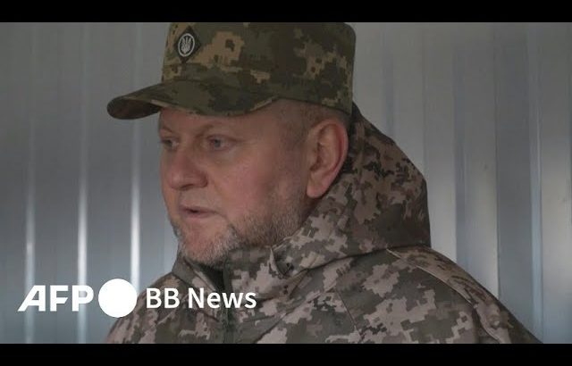 ウクライナ・ゼレンスキー大統領、ザルジニー軍総司令官解任（2024年2月）