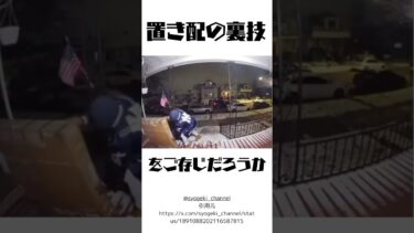 置き配泥棒　#社会問題　#アメリカ　#一休さん　VOICEVOX:青山龍星