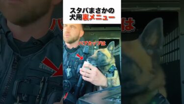 スタバまさかの犬用裏メニュー#エンタメ #海外 #おもしろ