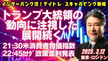 【為替】3/12 トランプ大統領の動向に注視した展開続く。今晩は米消費者物価指数あり。本日のドル円は148.30円で売り方針