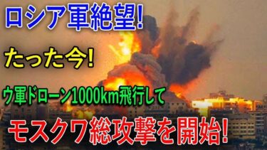 【ウクライナ戦況】最新ニュース 2025年4月29日