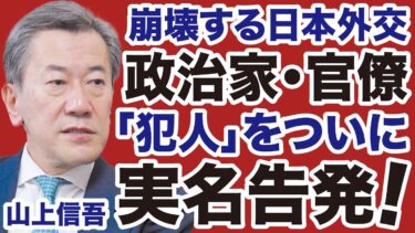 【外務省激震】日本外交の崩壊「犯人」をついに実名告発！【山上信吾✕デイリーWiLL】