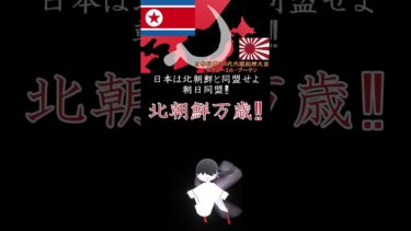 日朝国交正常化‼北のミサイル全力支持‼ #北朝鮮