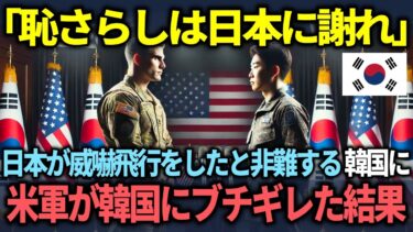 【海外の反応】「日本が威嚇してきたんだ！」韓国が日本の自衛隊が威嚇飛行をしたと証拠を突き付けて非難する   米軍幹部の思わぬ反論に完全沈黙させられる結末ww