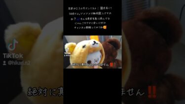 暑すぎる異常気象に翻弄されるクマさん達。～体調管理には気をつけたいですね～