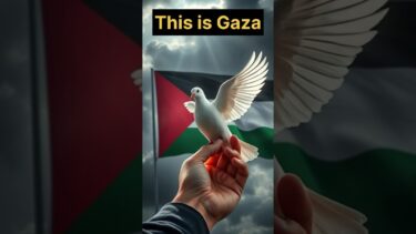 जब बच्चे ने कहा — ‘बस ज़िंदा रहना है | #gaza #palestine #shortsindia