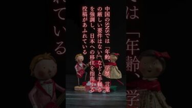 大阪で中国系民泊急増、SNSに「ビザ取得は簡単」 #政治 #移民問題