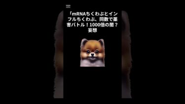 奇跡のちくわぶ　#shorts  #国際情勢 #世界ニュース #税制解説 #VOICEVOX #ずんだもん #ショート動画 #経済ニュース #わかりやすい解説