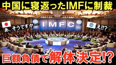 【海外の反応】もはや逆ギレ…日本を潰そうとしたIMFが返り討ち‼︎巨額負債が発生で中国がついに絶体絶命へ【世界のJAPAN】