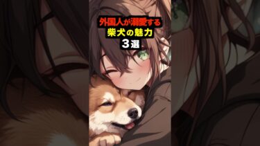 【海外の反応】「可愛すぎるだろ！」外国人が愛してやまない柴犬の魅力３選#海外の反応 #雑学 #日本