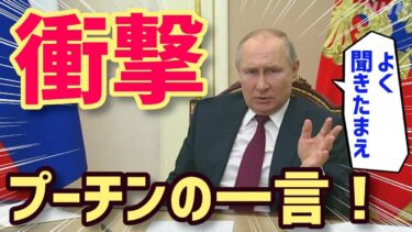 【衝撃】日本の軍事力と自衛隊の戦闘能力は中国に対抗できるのか？ ロシアのプーチン大帝が語る驚愕の真相とは？【海外の反応】