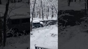 【今年は異常】４月も半ば雪がだいぶ溶けたと思ったのに#雪 #異常気象 #田舎暮らし