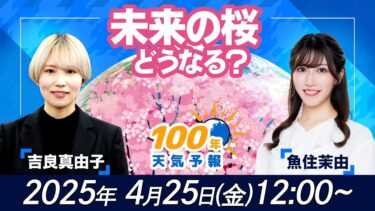 【気候変動番組】100年天気予報〜未来の桜どう変わる？〜/2025年4月25日(金)12:00~/魚住茉由・吉良真由子