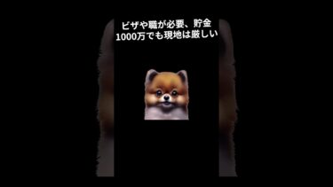 やっぱり海外逃亡が1番かも？　#short #国際情勢 #世界ニュース #税制解説 #VOICEVOX #ずんだもん #ショート動画 #経済ニュース