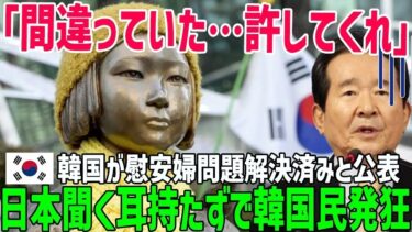 【海外の反応】「もうやめよう…」遂に認めた！韓国国家人権委員会が例の女性像問題はすでに解決していると発言し韓国報道機関が騒然！韓国全土に大激震！