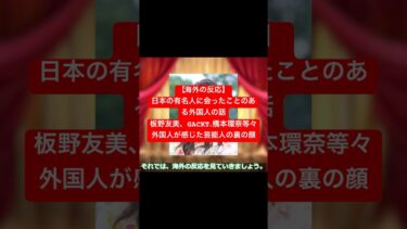 【海外の反応】外国人が日本の有名人に会った話【外国人が感じた芸能人の裏】