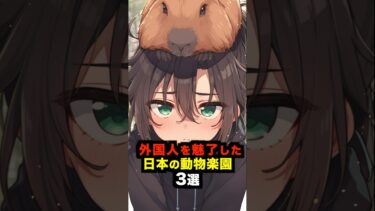 【海外の反応】外国人を魅了した日本の動物楽園3選！#海外の反応 #雑学 #日本