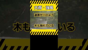 進むのが怖い道路 #災害 #防災 #異常気象
