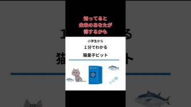 小学生から1分ででわかる猫量子ビット　#ai #量子コンピュータ