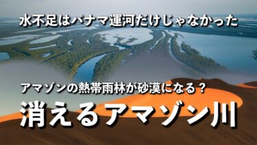 【 ゆっくり解説 】　警告 !  アマゾンが消える日　気候変動の驚くべき現実、もしも地球の肺が失われたら