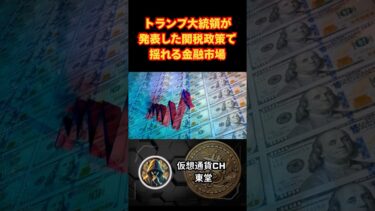 【トランプ完全で揺れる世界経済】#ニュース #経済ニュース #世界経済 #考察