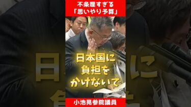 思いやり予算の矛盾 #日米安保 #日米地位協定 #日本共産党 #小池晃 #shorts