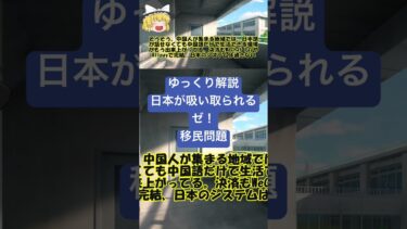 ゆっくり解説【中国に全部 吸い取られるぜ！】【日本の移民問題】右下全文読んでね！さきの海外不動産しか勝たんから引用#中国 #中国ドラマ #中国人 #中国語会話