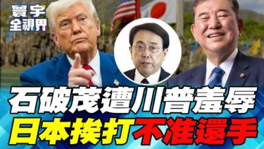 美日安保分裂？日本遭川普勒索防衛費 日本代表被嫌棄層級太低…【#寰宇全視界】20250419-P2 何戎 劉德海 陳文甲 鄭繼文