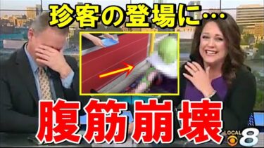 【海外の反応】外国人大爆笑！「日本人のこういう発想が好きなんだｗ」日本のドライブスルーで撮影された１枚の写真が海外で大評判にｗｗｗ【THE日本】