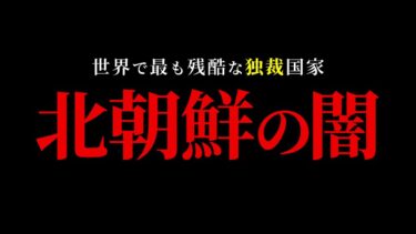 【独裁国家】闇に包まれた”北朝鮮”徹底解説まとめ「作業用/たっくー切り抜き」