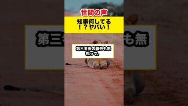【世間の反応】知事のパワハラ隠蔽？情報源調査で人権侵害！#shorts