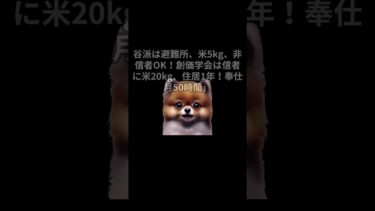 日本破綻で宗教に入信？　#shorts  #国際情勢 #世界ニュース #税制解説 #VOICEVOX #ずんだもん #ショート動画 #経済ニュース