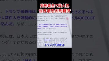 移民問題の行き着く先は…　#三橋貴明 #菅沢こゆき #移民 #coret #コレット