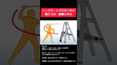 【ニュース】治療して再開！？シンガポールの“ムチ打ち刑”に見る厳罰主義の現実#刑罰 #ムチ打ち刑 #国際ニュース #シンガポール #日本人初 #法制度