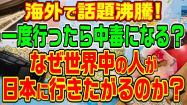 【海外の反応】日本の魅力と安全性に魅了される外国人たち