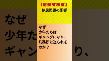 【財務省解体】移民問題の影響