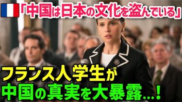 【海外の反応】「日本がC国のエンタメ文化をパクってるんだ！」日本のアニメ文化がC国のパクリだと言われたアメリカ人学生が驚きの真実を知った結果ww