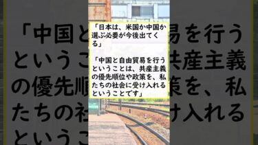 【国際】「日本は、アメリカか中国か選ぶことになる」トランプ大統領「41歳のブレーン」が衝撃発言?ブチ切れたアメリカ庶民が「日米同盟を破壊する日」 ★2