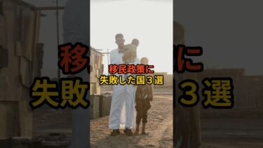 【日本の未来】移民政策に失敗した国3選 #政治 #自民党   #石破茂   #shorts  #投票 VOICE:VOX 青山龍星 VOICE:VOX Nome