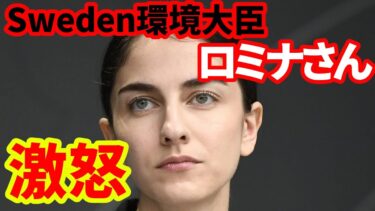 【スウェーデン】矛盾だらけの気候変動対策をぶった切る、スウェーデン気候環境大臣ロミナ・ポールモクタリ氏の動向