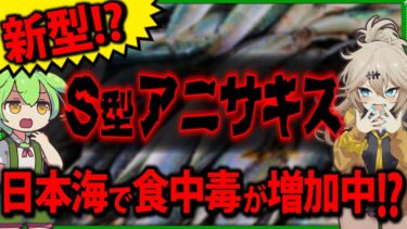 【ゆっくり解説】アニサキス日本海側で食中毒リスク増加！？地球温暖化との関係とは。また最新のパルス処理・高圧処理・放射線まで徹底紹介！