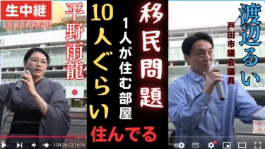 #平野雨龍  「移民問題！1人が住む部屋に10人ぐらい住んでいる！」#渡辺るい 戸田市議会議員 4月19日 新宿駅南口　#移民問題