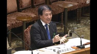 エネルギー政策の世界のトレンドは？。飯田哲也　参考人　陳述質疑　2025.3. 13参議院　予算委員会