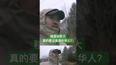 #移民加拿大 真的要远离海外华人？ #加拿大生活 #海外生活 #加拿大移民 #移民海外 #pr申请 #留学生移民 #熱門 #移民政策 #移民生活
