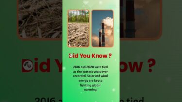Facts about Global warming | Did you know #youtubeshorts #shorts