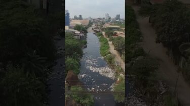 The Link Between Climate Change and Disease Outbreaks